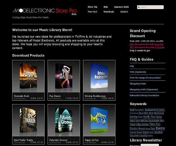 Model Electronic Store Pro