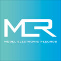 Model Electronic Records