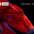 OE - Moment of Now (Suchness5)