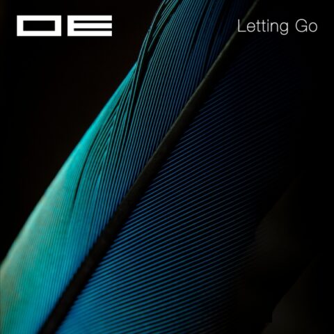 OE -Letting Go (Suchness 6)